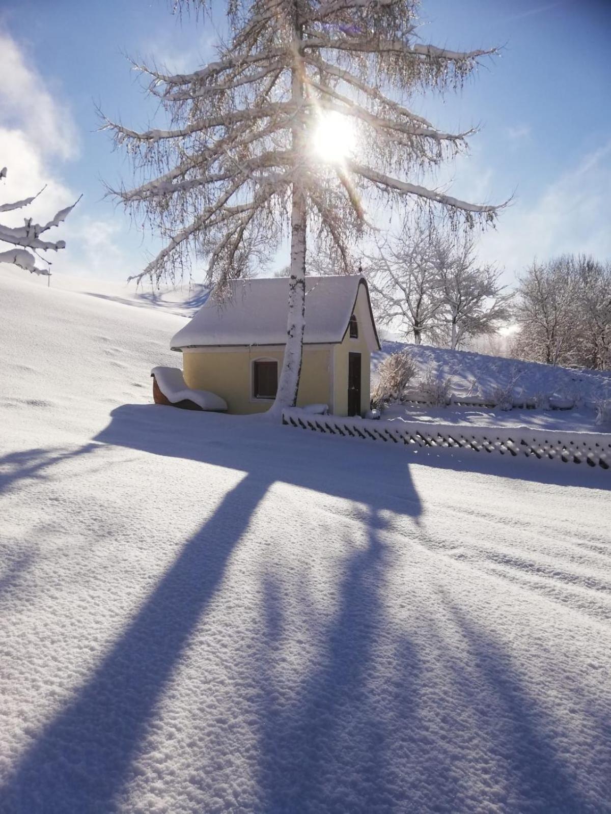 Alpenchalets Oberlaiming イッター エクステリア 写真